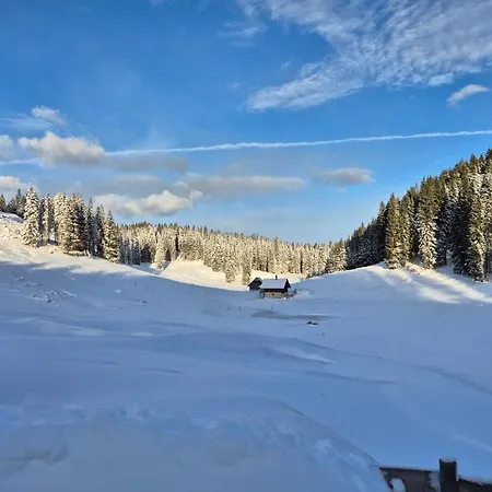Appartement Koca Na Kranjski Dolini Pokljuka Zgornje Gorje