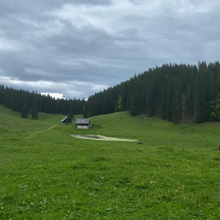 Koca Na Kranjski Dolini Pokljuka Appartement