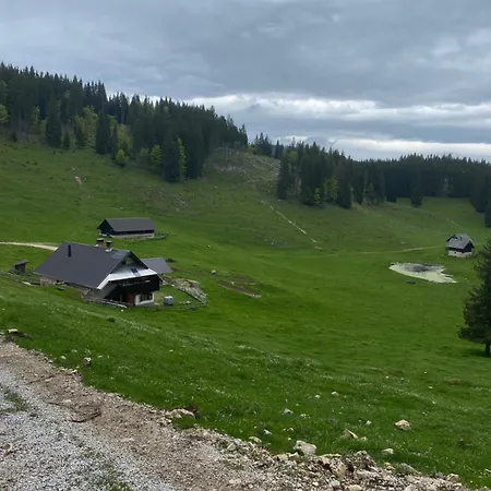 Koca Na Kranjski Dolini Pokljuka *