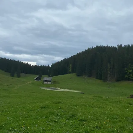 Koca Na Kranjski Dolini Pokljuka Zgornje Gorje